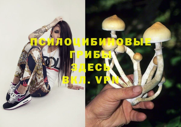 мдпв Володарск