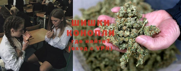 мдпв Волоколамск