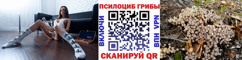 Галлюциногенные грибы MAGIC MUSHROOMS  даркнет официальный сайт  Камызяк 