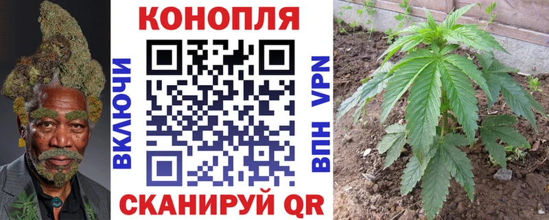 Канабис марихуана Камызяк